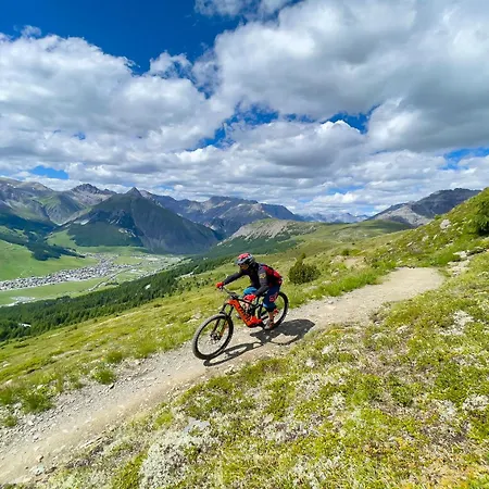 Stella Alpina - Happy Apartment Livigno